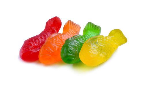 Gummy Fish