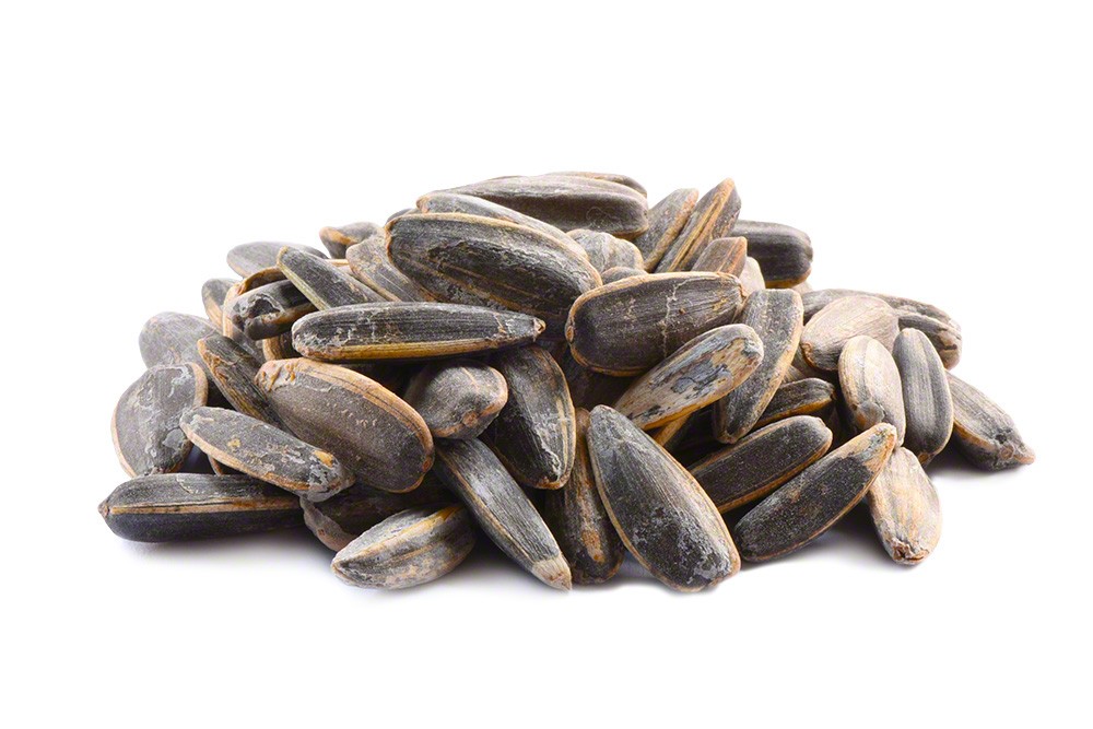 Roasted Salted Sunflower Seeds in Shell - 10oz Bag