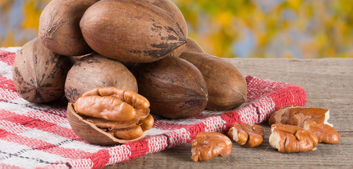 Health Benefits of Pecans Skin and Hair Health — Bone and Teeth Health