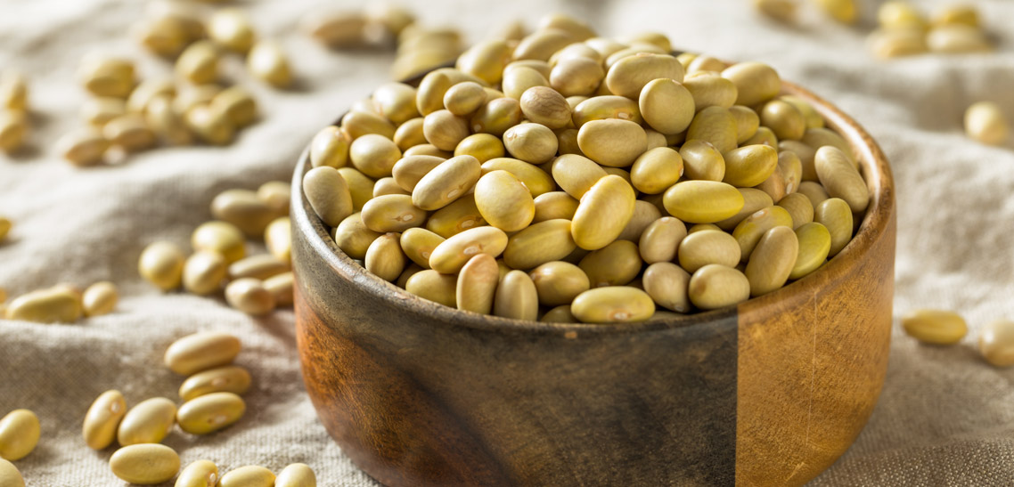 What Are Peruano Mayocoba Beans?